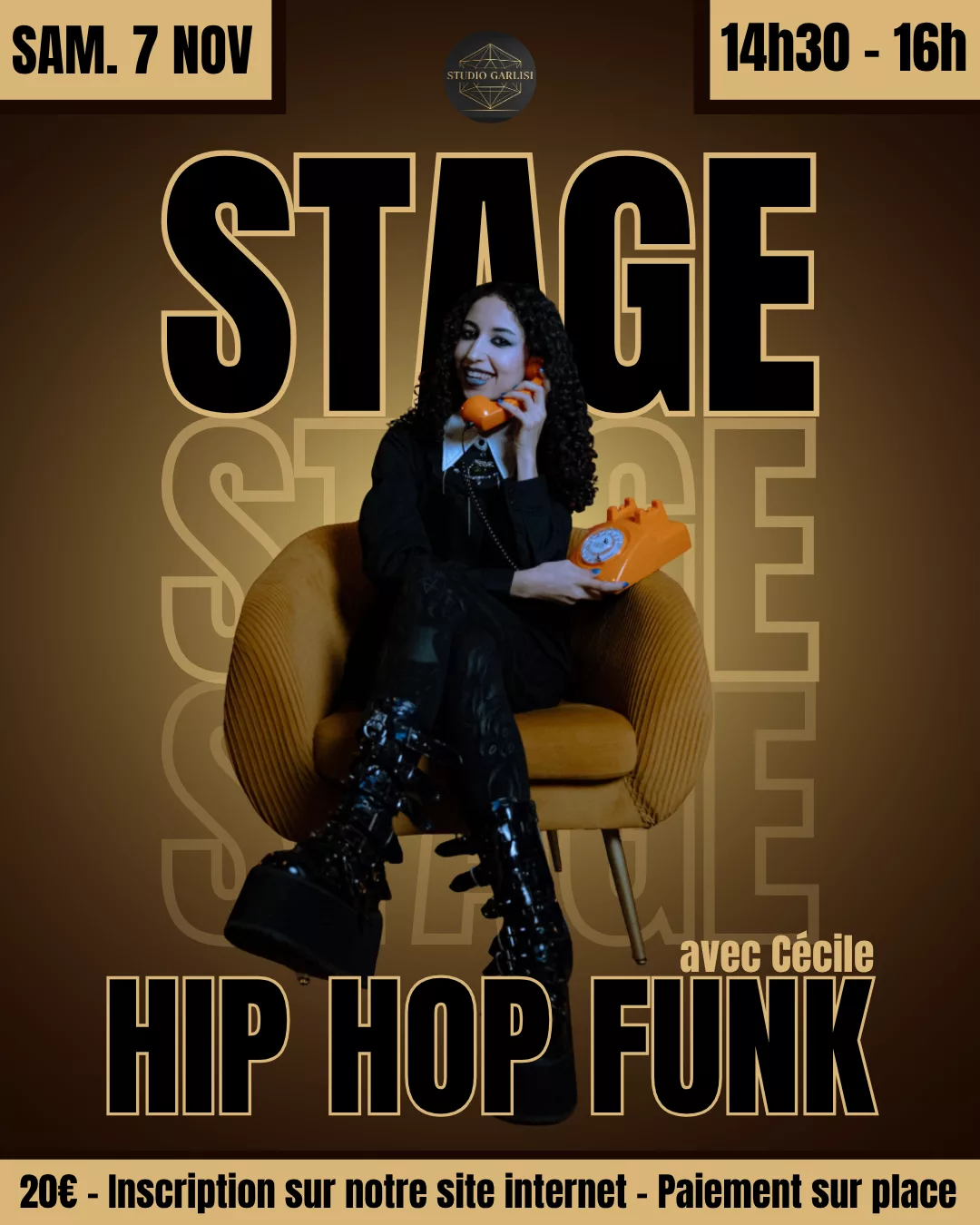 Affiche du stage